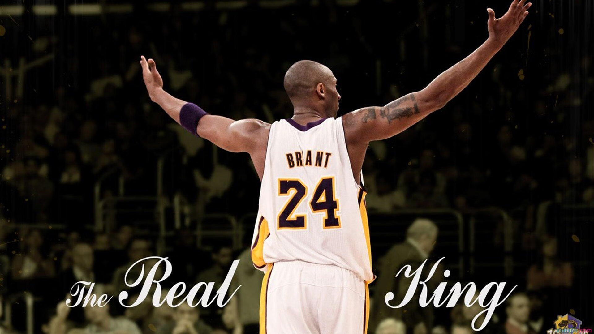 开云平台-哈利伯顿，当聚光灯亮起，猛龙节奏如何撕碎湖人防线？